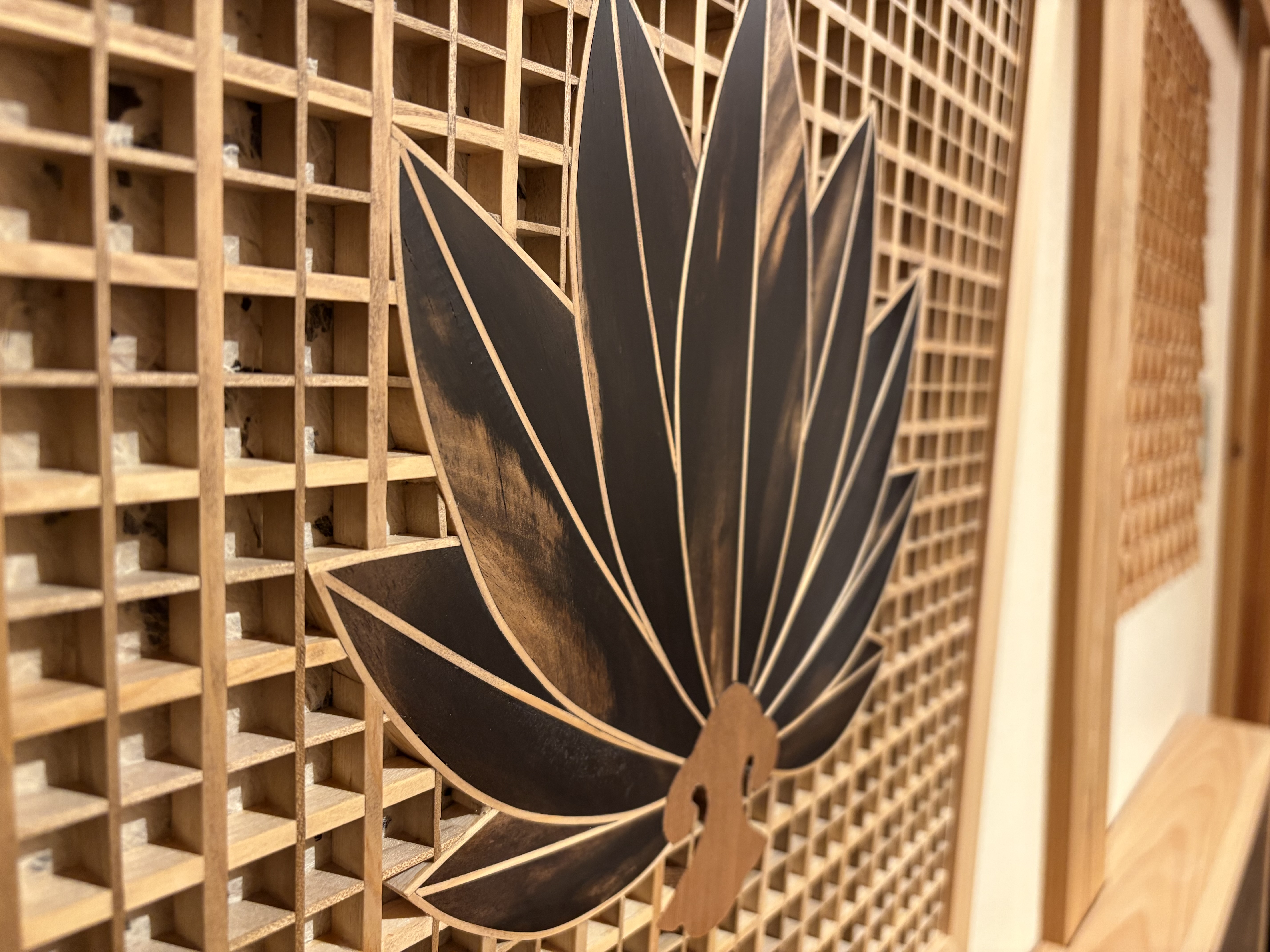 2. 曲線美の魅力