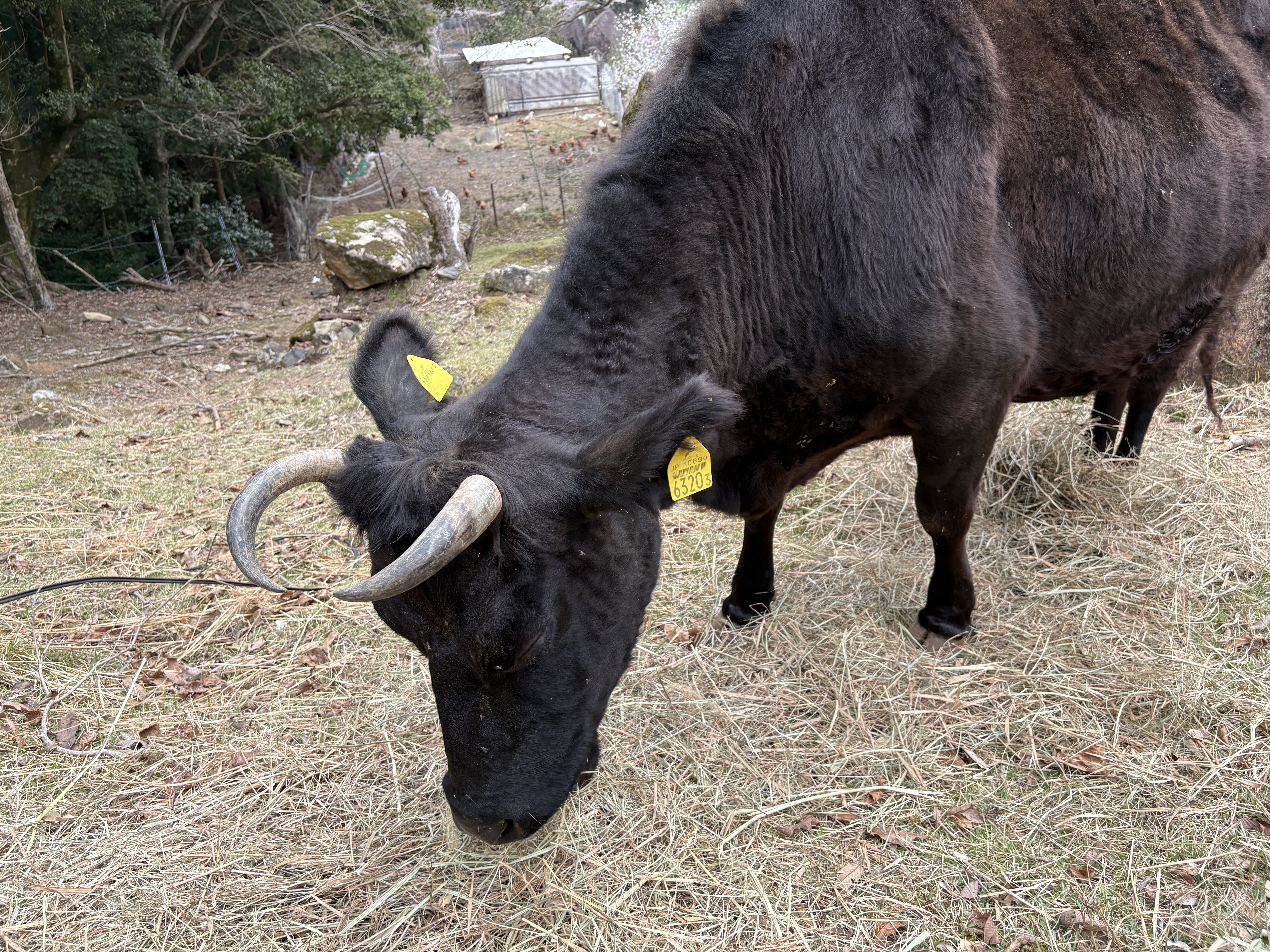 お問い合わせ・参加申込