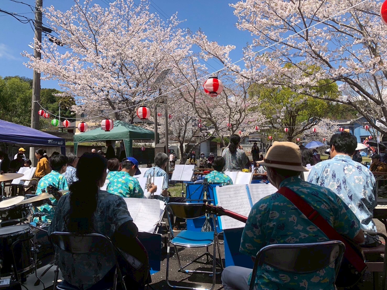 桜の下でジャズに酔いしれ、色彩豊かなひとときを