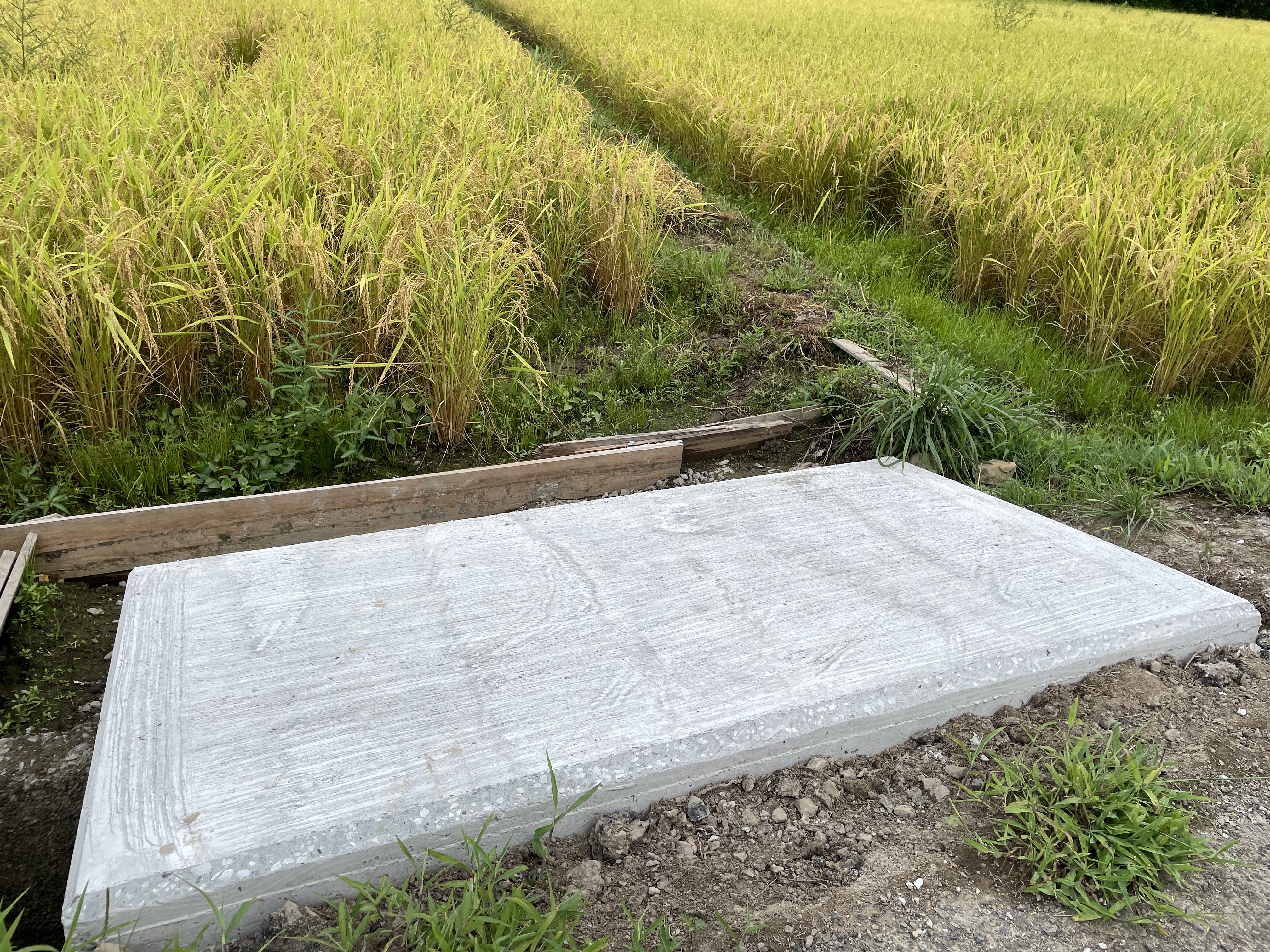 宿毛市のコンクリート技術で創造する新しいインテリアアート